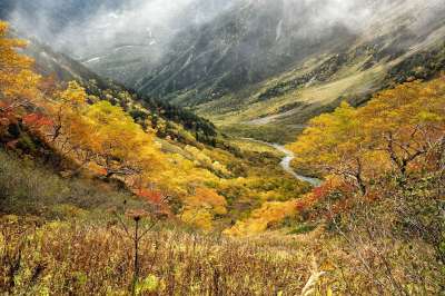 自然 秋季 黄叶 秋季树叶 山 谷 森林 草地 亚高山带