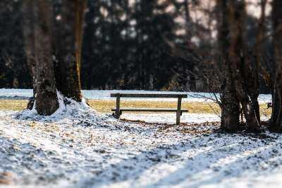 长椅 公园 雪 树木 冬天 景观 张木凳 寒冷的 户外 自然