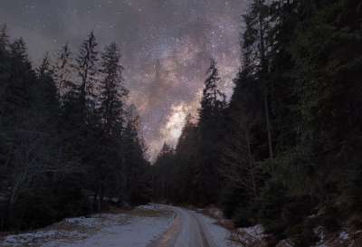 道路 森林 夜晚 树木 夜空 星星 星空 路 雪 冬天 景观
