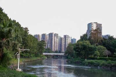 高楼 公园 树木 城市 湖