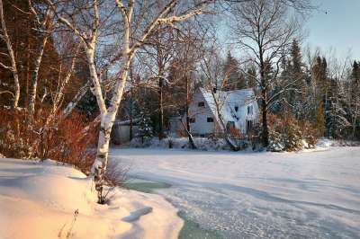 景观 木屋 冬天 房子 农村 自然 雪 寒冷的 树木 冷杉