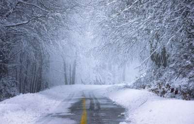 路 森林 雪 冬天 日出 寒冷的 冻结 霜 冰 多雾路段