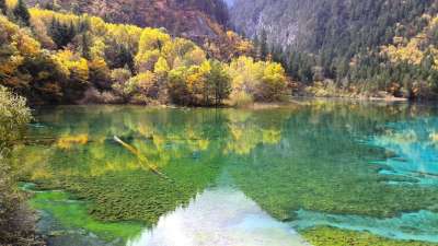 九寨沟 地震前 风景 秋季 森林 湖水 清澈 九寨沟 九寨沟