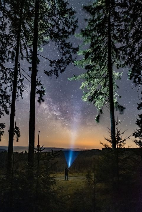 森林 夜晚 人的 可怕的 光 天堂 银河系 星星 宇宙 星空