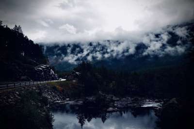 多雾路段 流动 树木 森林 挪威 路 景观 严峻 情绪 桥