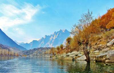 树 湖 巴基斯坦 自然 景观 森林 旅行 秋天 小山 谷