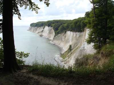 白色的悬崖 海 海湾 训斥 外表 浪漫 山 树 森林 膨胀