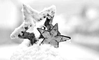 雪 冬天 圣诞节 圣诞装饰 星星 寒冷的 冬季魔法 被雪覆盖