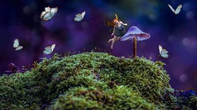 仙女 蘑菇 幻想 苔藓 童话 梦 想象力 蝴蝶 超现实的 神秘