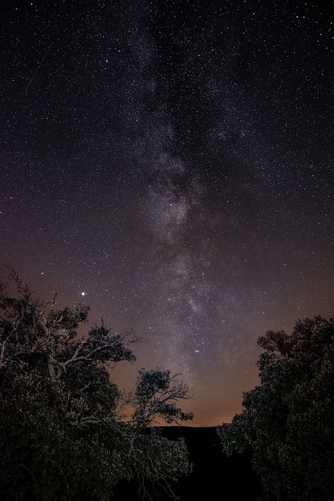 银河 星星 星系 宇宙 树木 星座 天文学 天文摄影 空间