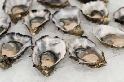 生蚝 贝壳鱼 海鲜 壳 鱼 食物 新鲜的 海 贝类 美食家