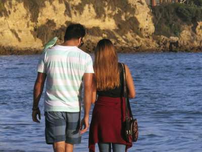 夫妻 走 海滩 步行 男人 女士 一起 爱 年轻 夏天 二