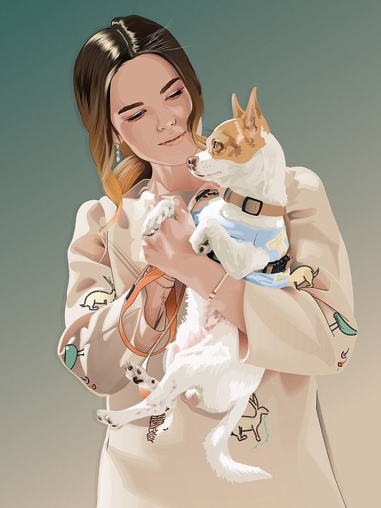 女孩 狗 女士 小狗 奇瓦瓦州 宠物 可爱的 一起 快乐的