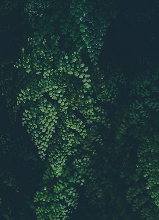 手机壁纸 抽象 艺术 背景 生物学 建造 黑暗的 设计 未来派