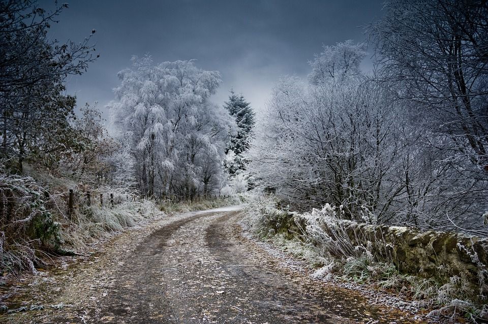 霜, 苏格兰, 冬天, 雪, 自然, 景观, 白色的, 寒冷的, 冰, 苏格兰的