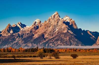 大提顿 国家公园 山 目的地 假期 旅行 景观 风景秀丽的 森林