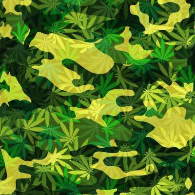 大麻 伪装 药品 草 绿色 麻 文化 麻醉 雷鬼 治愈 军队