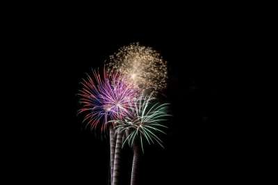 烟花 独立 烟火 光 假期 七月 庆典 第四名 事件 爆炸