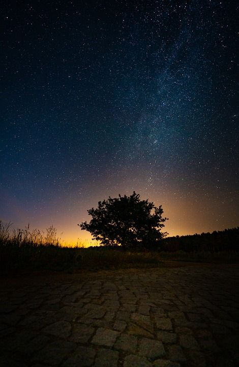 树 星空 夜空 铺路石 星空 星空 星空 星空 星空
