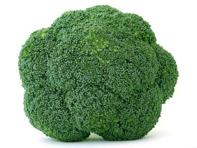 西兰花 食物 绿色 健康 叶子 有天赋的人 生的 蔬菜 卷心菜