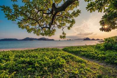 日落 砂 海滩 岛屿 叶 亚热带 冲绳 日本 景观 高清壁纸