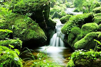 森林 水 谷 大自然 景观 夏天 绿色 韩国 山 瀑布 流