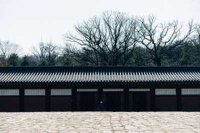 亚洲 亚洲人 韩国 朝鲜语 桥 自然 水 景观 木头 天堂
