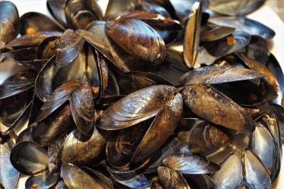 贝壳 青口贝 冷杉 剥离 大海 水果 软体动物 甲壳类动物 吃