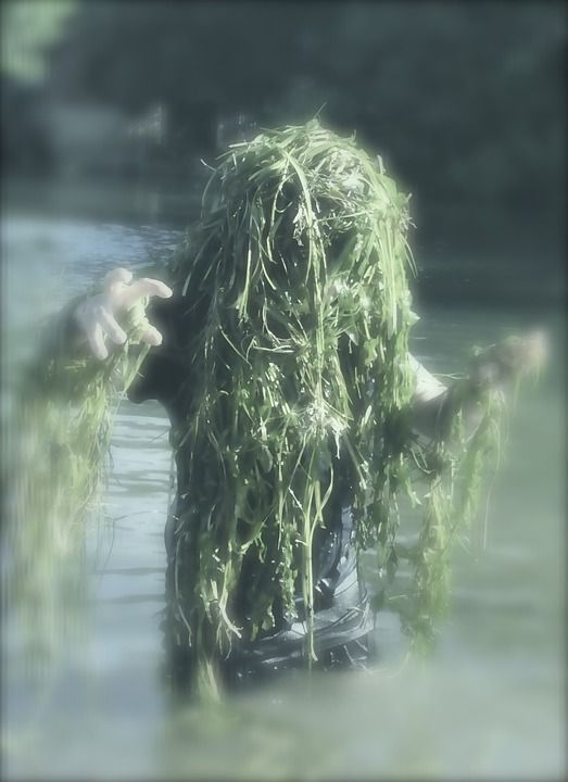 水灵 水瓶座 藻类 海怪 水生植物 搞笑 鬼 怪物 可怕的