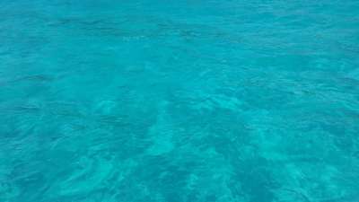 水 海洋 蔚蓝的海水 珊瑚礁 蓝色的大海 海 湖 珊瑚 深海