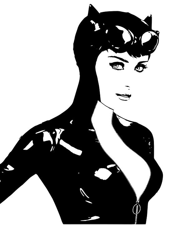 猫 猫女 超级英雄 动画片 奇迹 电影 人民 时尚 女人 插图