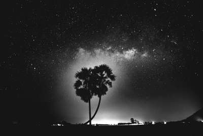 星空 树木 星星 天空 夜晚 星夜 夜空 宇宙 观星 单色