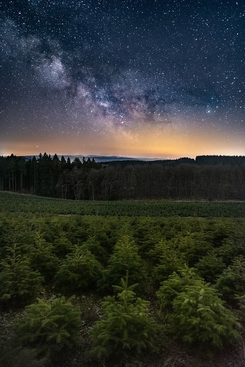 夜晚 星星 景观 星空 宇宙 银河系 天堂 星系 天文学 空间