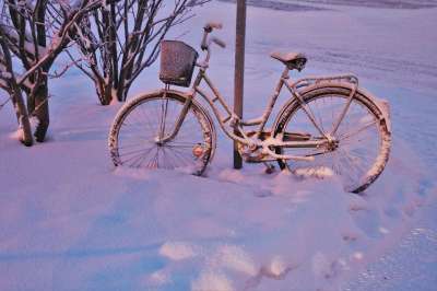 雪 黎明 自行车 弗罗斯特 冻结 阴影 光 冰冷的 在早上 白