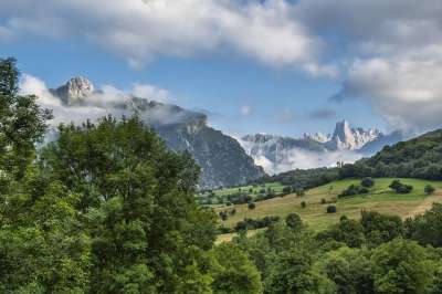 山 树木 自然 森林 天空 云 山脉 风景 景观 森林 森林