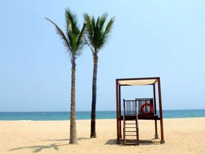 海滩 假期 棕榈树 海 水 休息 夏天 视图 假日 亚洲