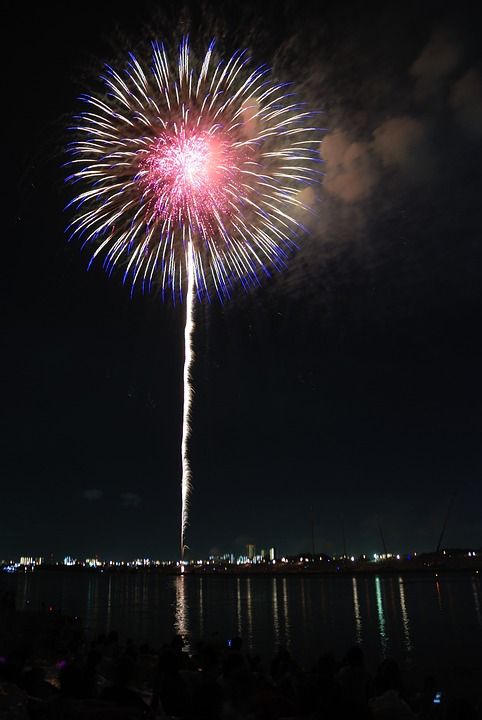 红色的 丰富多彩的 花 烟花 天空 夜晚 日本 节日