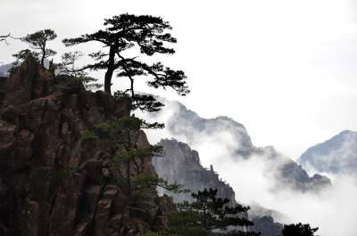 大自然 山 景观 岩石 旅游 黄山 中国 雲海