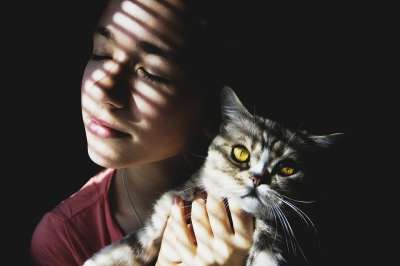年轻女子 猫 华丽的 情绪 头发 人类 美容 摄影展 风格
