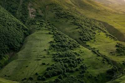 山坡 小山 景观 坡 山 自然 森林 树木 山坡 山坡 山坡