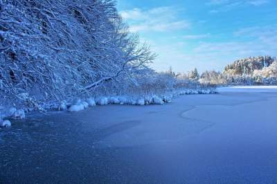 冬天 湖 冻结 景观 雪 霜 寒冷的 森林