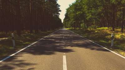 森林 自然 路 旅行 树木 大街 街道 林地 看法 乡村的
