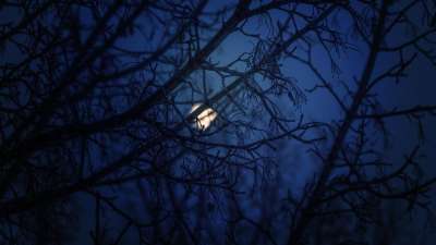 蓝夜 月亮 冬天 月光 繁星点点