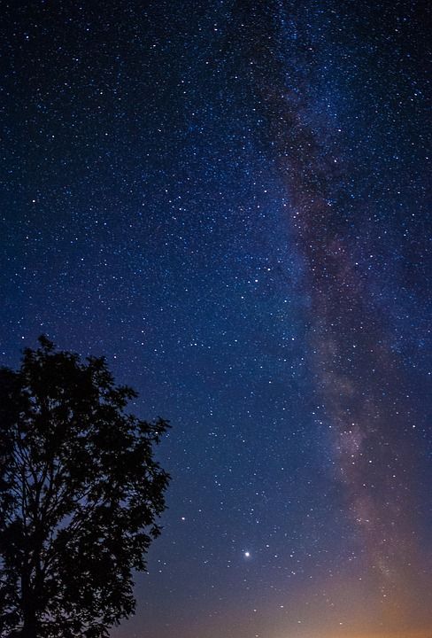 银河 夜空 树 轮廓 星空 宇宙 空间 夜晚 星系 天空