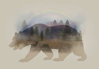 树木 性质 狍子 景观 绘图 背景 幻想 绘画 设计 熊