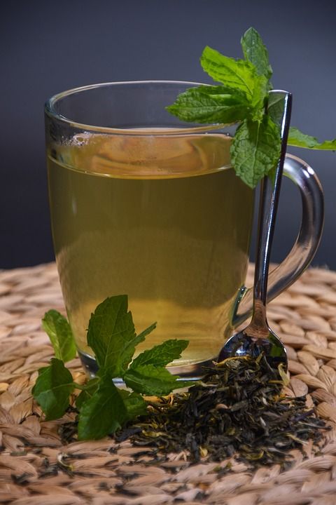 茶 薄荷 草药 杯子 芳香 工厂 树叶 干叶子 茶叶 黄