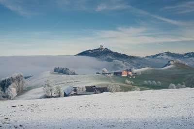 自然 景观 落下 秋天的颜色 秋天风景 雪 霜 多雾路段 雾场