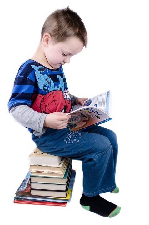 孩子 书 男孩 学习 孤立 有教育意义的 智慧 学龄前儿童 重的