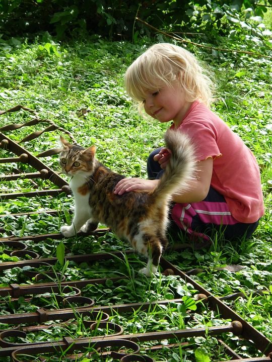 女孩 孩子 猫 幸运猫 快乐的 草 金发 中风 动物 家猫