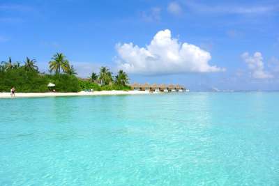 马尔代夫 椰子树 海 采取 夏天 假期 天空 海洋 海滩 旅行